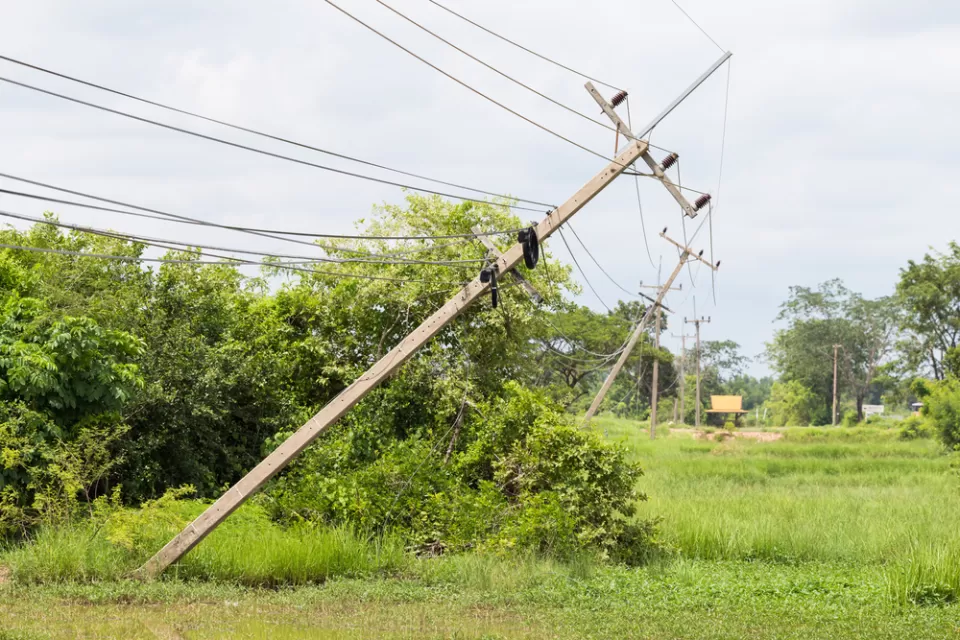 Telephone Pole